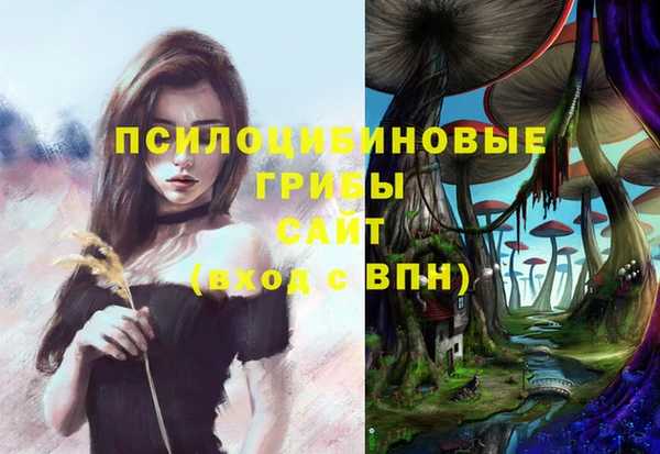 герыч Заволжск