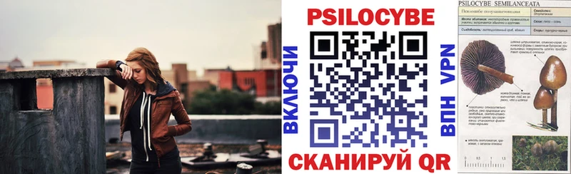 Купить где  Богородск  Галлюциногенные грибы Psilocybine cubensis 